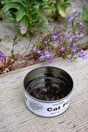 Earwig trap made from low-sided can filled with vegetable oil. 