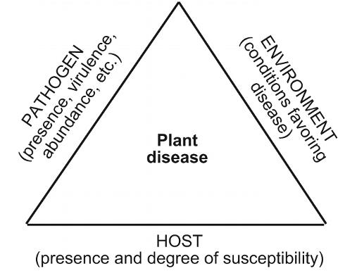 The disease triangle. All components must be present for disease to occur.