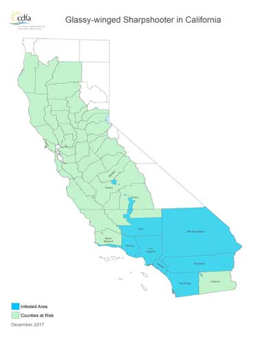 Distribution of glassy-winged sharpshooter in California as of December 2017.