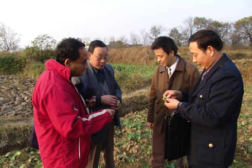 IPM Weed Ecologist Anil Shrestha shows a Chinese county extension agent, a county extension director, and a university professor how to identify weeds in Feidong County, Anhui Province, south China.