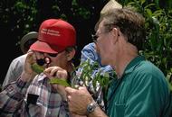 Walt Bentley talks to grower while looking at almond leaf with hand lens.