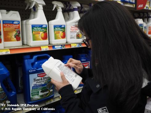 A customer reading the back of a pesticide bottle.