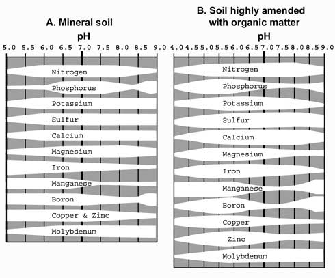 Nutrient availability to plant roots varies according to soil pH. Wider bars indicate greater availability at that pH. For optimal nutrient availability, a good range of soil pH for most plants is 6.0 to 7.5.