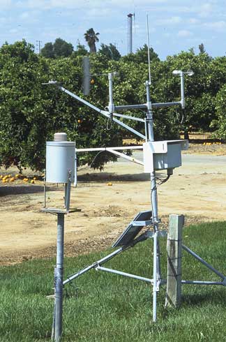 Electronic weather monitoring station located on cool-season turfgrass near a citrus orchard.