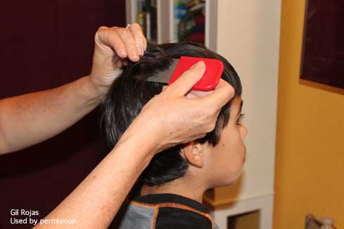 Combing for head lice.