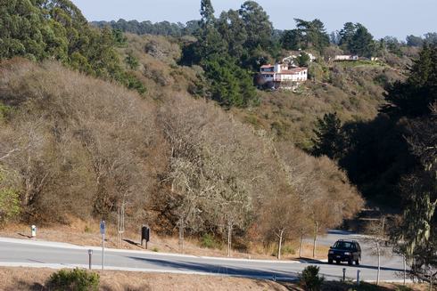 Defoliation of coast live oak woodland caused by California oakworm, <i>Phryganidia californica.</i>.