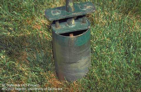 Golf cup cutter used to sample for blight in tall fescue turfgrass.