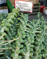 Brussels sprouts at market.