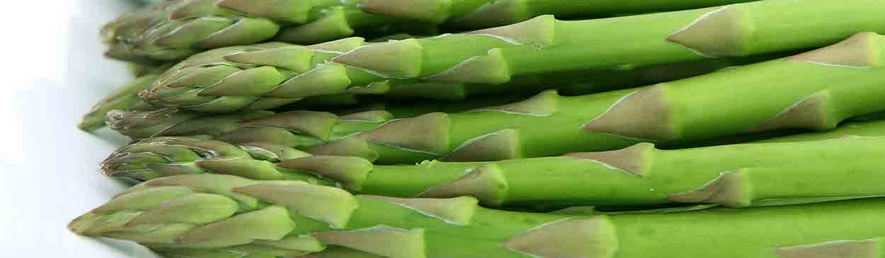 The tips of harvested asparagus spears on white background. Credit: pixnio.com