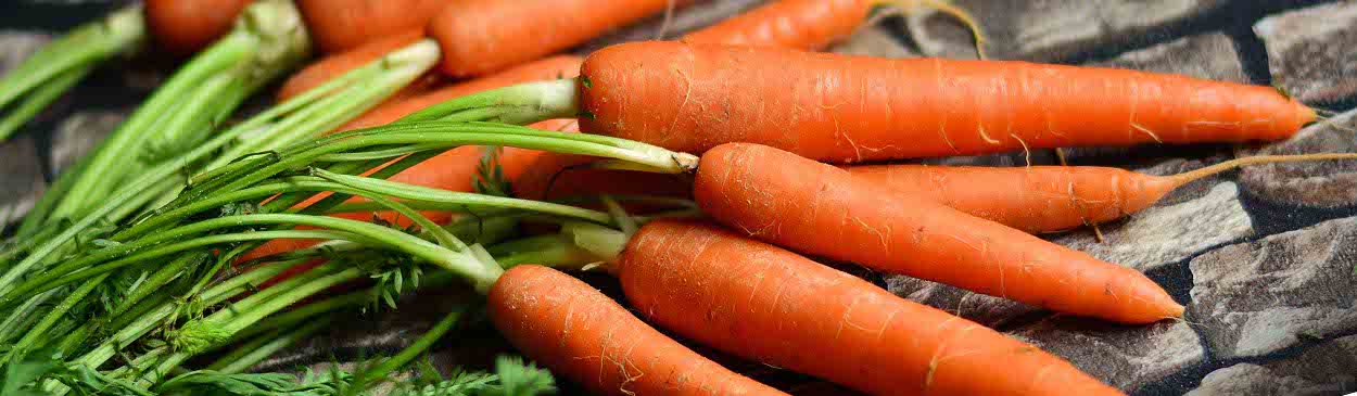 Full grown carrots with green tops laying on ground. Credit: congerdesign from Pixabay