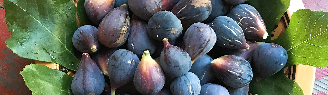 Bowl of ripe figs.