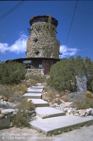 Arid-adapted vegetation in a rock garden landscape.