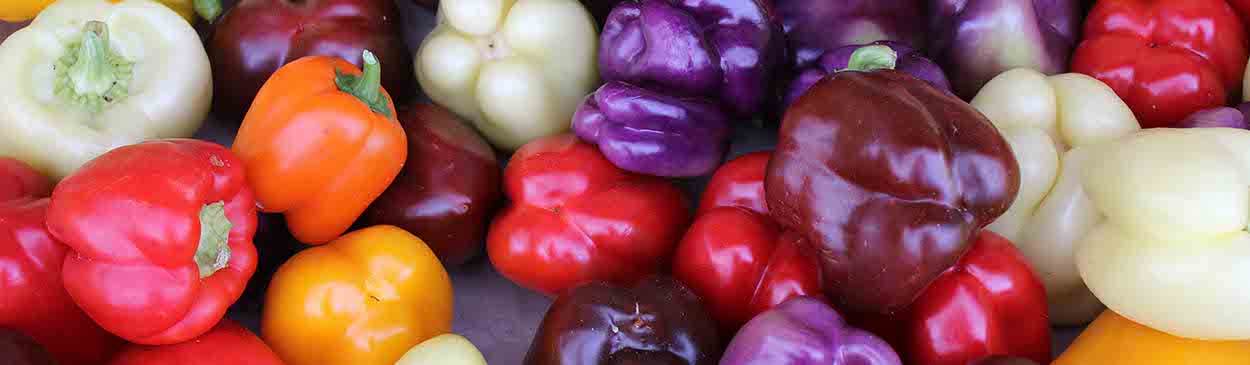 Red, white, yellow. Orange, and purple bell peppers. Credit: Public Domain