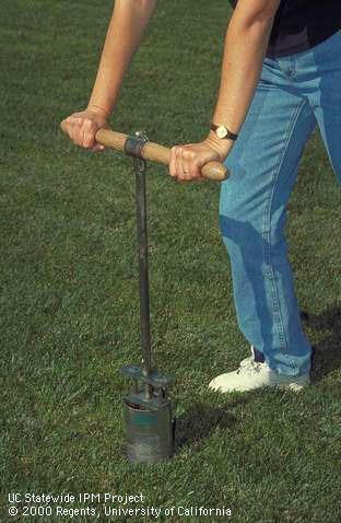 A golf cup cutter placed on turf prior to collecting a soil sample.