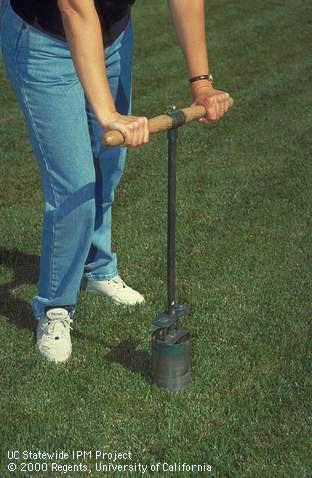 A golf cup cutter placed on turf prior to collecting a soil sample.