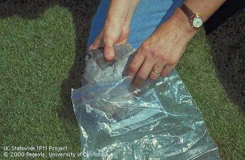 Place newspaper-wrapped core in a plastic bag for laboratory submission.