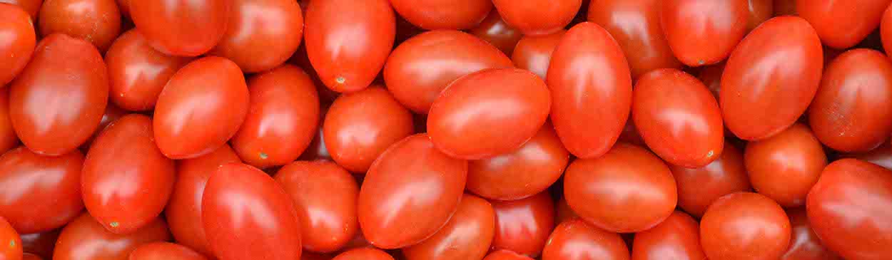 Ripe baby plum tomatoes Credit: Colin Bedson