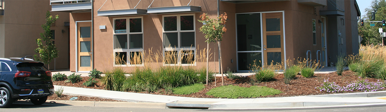 Urban building surrounded by mulched landscaping.