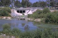 Runoff from landscape irrigation can carry pesticides and other garden chemicals on to hard surfaces and into storm drain, which lead to our waterways.