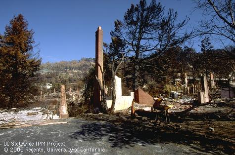 Remains of houses following Oakland Hills fire, 1991.