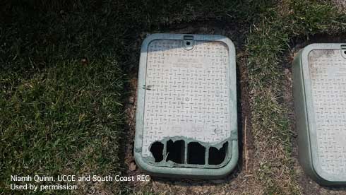 Irrigation box damaged by California ground squirrels, <i>Otospermophilus</i> sp.