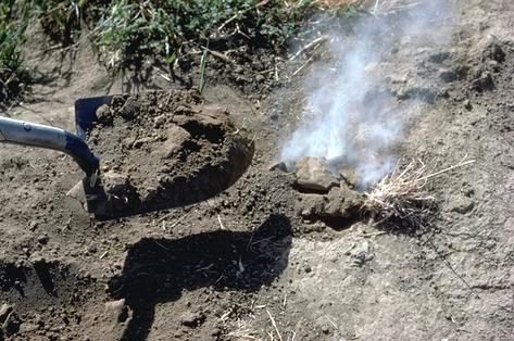 Covering a ground squirrel burrow entrance after inserting a gas cartridge for fumigation control.