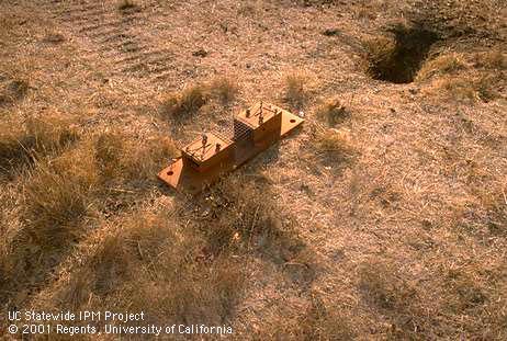 A pair of box-type gopher traps modified and set in the runway of ground squirrels.