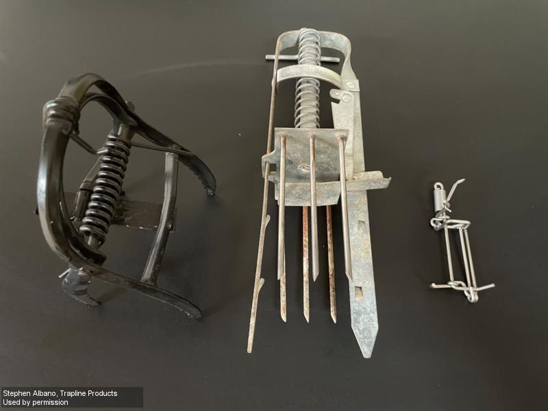 Common mole trap designs include scissor-jaw, harpoon, and pincer (from left to right). 