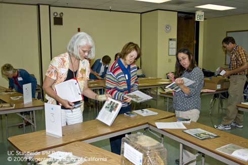 Master Gardeners learn how to identify landscape pests and diagnose symptoms by looking at preserved samples during a breakout session at an advanced IPM training.