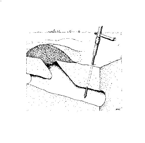 A gopher probe, used to locate a pocket gopher's main burrow.