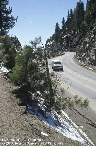 A snowy, mountain roadside.