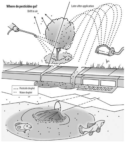 Creeks and rivers are being contaminated with pesticides, which are damaging aquatic life and can affect the quality of our drinking water. Do not allow soil or water to move into storm drains from areas recently treated with pesticides. Do not dump unwanted pesticides down the sink or into gutters or storm drains. Do not dispose of pesticide containers in the garbage unless they are completely empty, home-use-product containers.