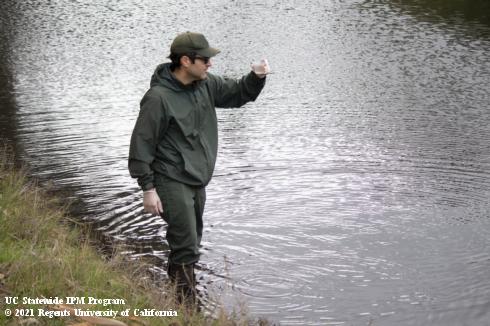 A parks worker inspecting a water quality sample in a creek.