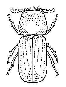 Illustration leadcable borer