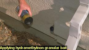 Hydramethylnon granular bait