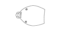 dorsal abdomen without spots