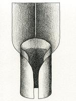 Illustration of collar without auricles