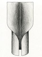 Illustration of absent ligule