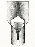 Illustration of ligule with long and tapered ligule