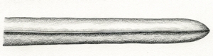 Illustration of parallel sided leaf blade