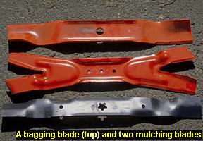 Photo of bagging and mulching blades