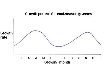 Illustration of growth rate for cool season grasses