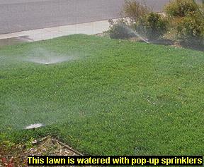 Photo of irrigating a lawn with pop-up sprinklers