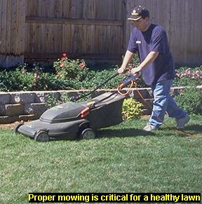 Photo of mowing a lawn