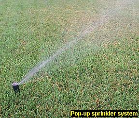 Photo of pop-up sprinkler