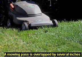 Photo of overlapping a mowing pass