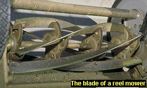 Photo of the blade of a reel mower