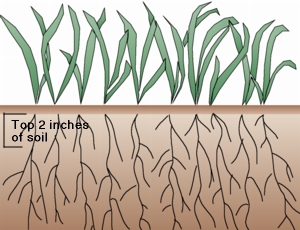 Illustration emphasizing top two inches of soil