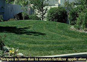 Uneven fertilizer application