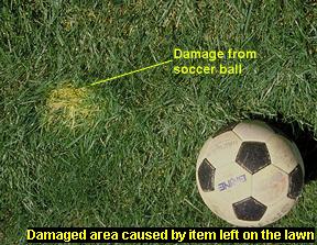 Damage caused by item left on lawn